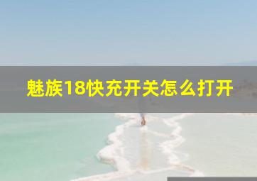 魅族18快充开关怎么打开