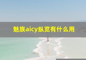 魅族aicy纵览有什么用