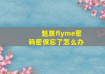 魅族flyme密码密保忘了怎么办