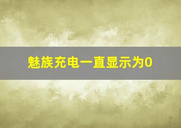 魅族充电一直显示为0