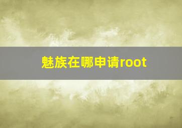 魅族在哪申请root