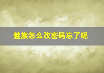 魅族怎么改密码忘了呢