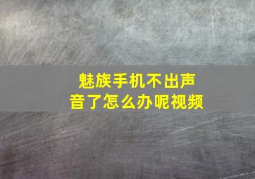 魅族手机不出声音了怎么办呢视频