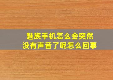 魅族手机怎么会突然没有声音了呢怎么回事