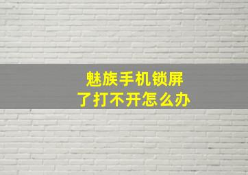 魅族手机锁屏了打不开怎么办