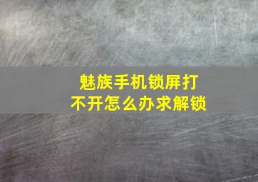 魅族手机锁屏打不开怎么办求解锁