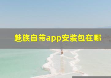 魅族自带app安装包在哪