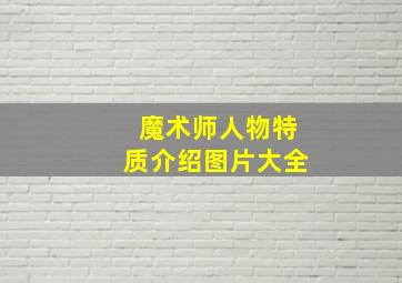 魔术师人物特质介绍图片大全