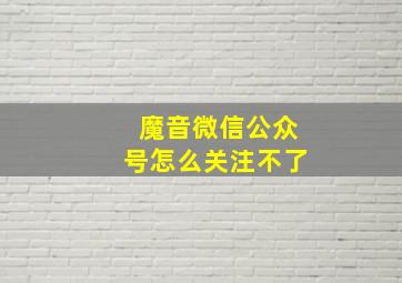 魔音微信公众号怎么关注不了