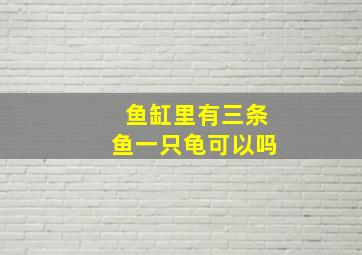 鱼缸里有三条鱼一只龟可以吗