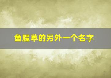 鱼腥草的另外一个名字