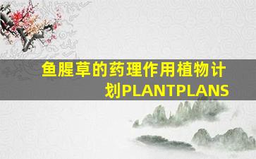 鱼腥草的药理作用植物计划PLANTPLANS