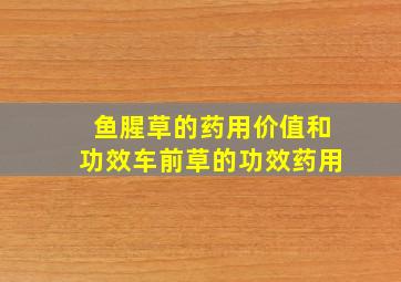 鱼腥草的药用价值和功效车前草的功效药用