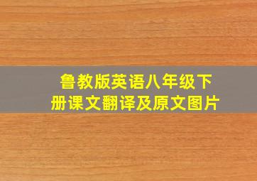 鲁教版英语八年级下册课文翻译及原文图片