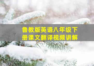 鲁教版英语八年级下册课文翻译视频讲解