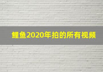 鲤鱼2020年拍的所有视频