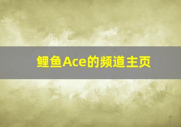 鲤鱼Ace的频道主页