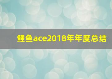 鲤鱼ace2018年年度总结