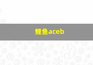 鲤鱼aceb