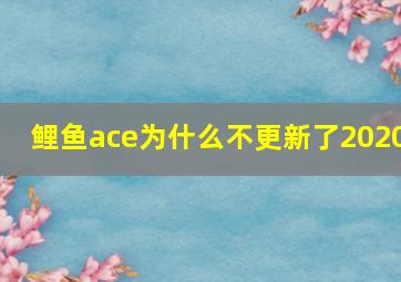 鲤鱼ace为什么不更新了2020