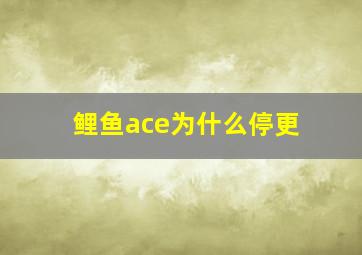 鲤鱼ace为什么停更