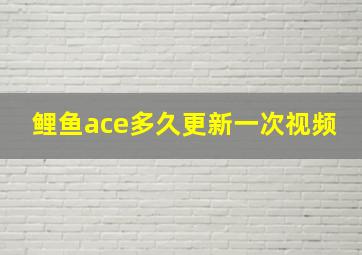 鲤鱼ace多久更新一次视频