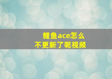 鲤鱼ace怎么不更新了呢视频