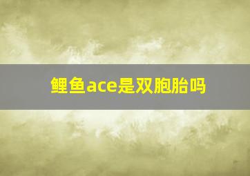 鲤鱼ace是双胞胎吗