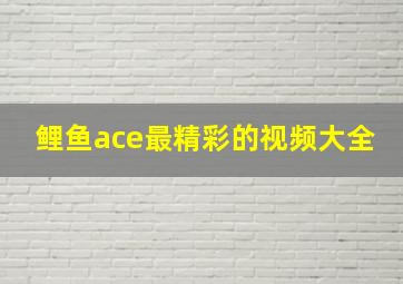 鲤鱼ace最精彩的视频大全