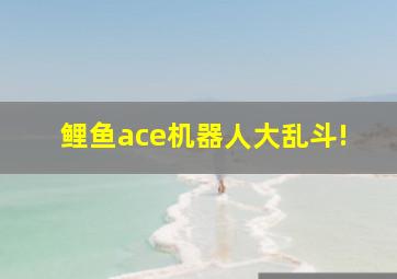 鲤鱼ace机器人大乱斗!