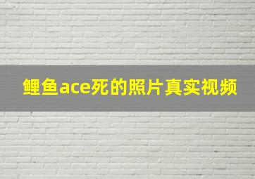 鲤鱼ace死的照片真实视频