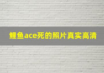 鲤鱼ace死的照片真实高清