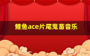 鲤鱼ace片尾鬼畜音乐