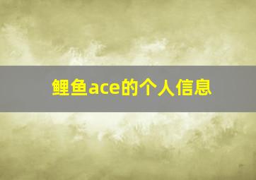 鲤鱼ace的个人信息