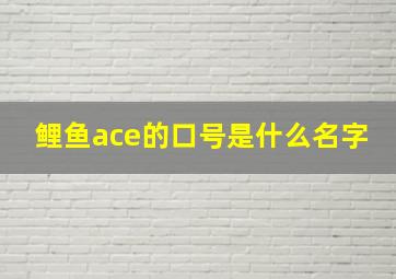 鲤鱼ace的口号是什么名字