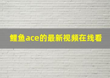 鲤鱼ace的最新视频在线看