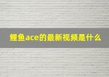 鲤鱼ace的最新视频是什么