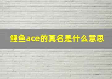 鲤鱼ace的真名是什么意思