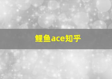 鲤鱼ace知乎