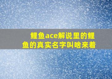 鲤鱼ace解说里的鲤鱼的真实名字叫啥来着