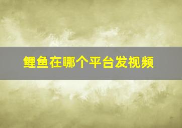 鲤鱼在哪个平台发视频