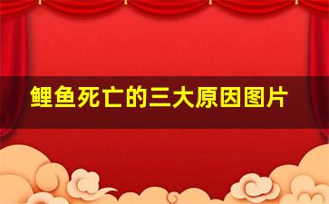 鲤鱼死亡的三大原因图片