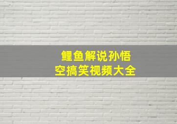 鲤鱼解说孙悟空搞笑视频大全