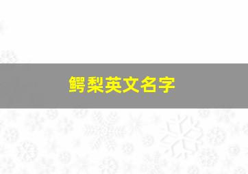 鳄梨英文名字