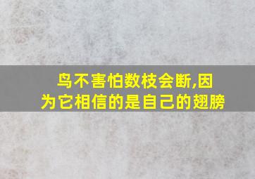 鸟不害怕数枝会断,因为它相信的是自己的翅膀