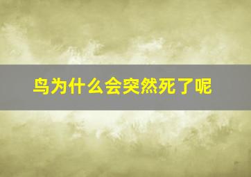 鸟为什么会突然死了呢