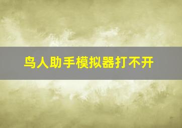 鸟人助手模拟器打不开