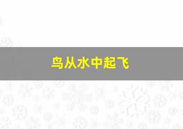 鸟从水中起飞