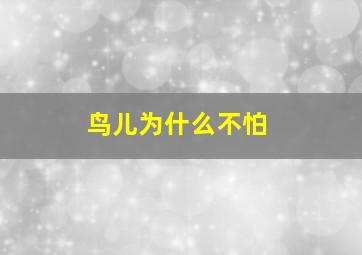 鸟儿为什么不怕