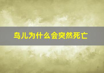 鸟儿为什么会突然死亡